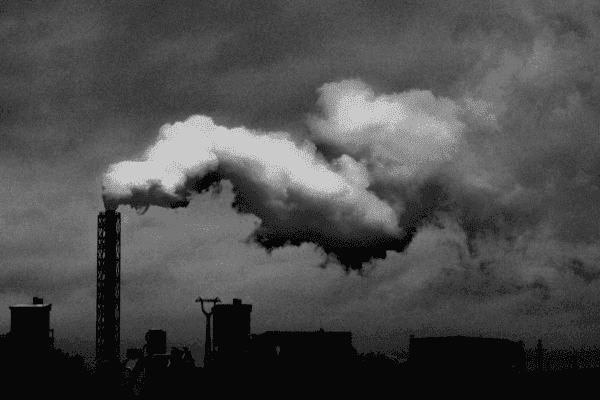 Carbon Disclosure Project (CDP): como funciona em supply chain?