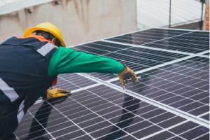 Tudo sobre fornecedores verdes: por que é importante contratá-los?