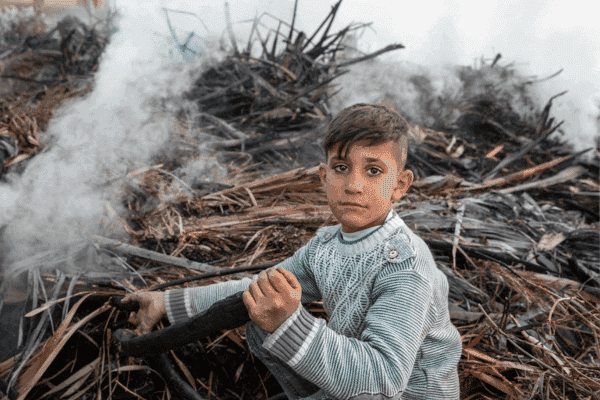 Trabalho infantil escravo de fornecedores: como combater? 2 maneiras!