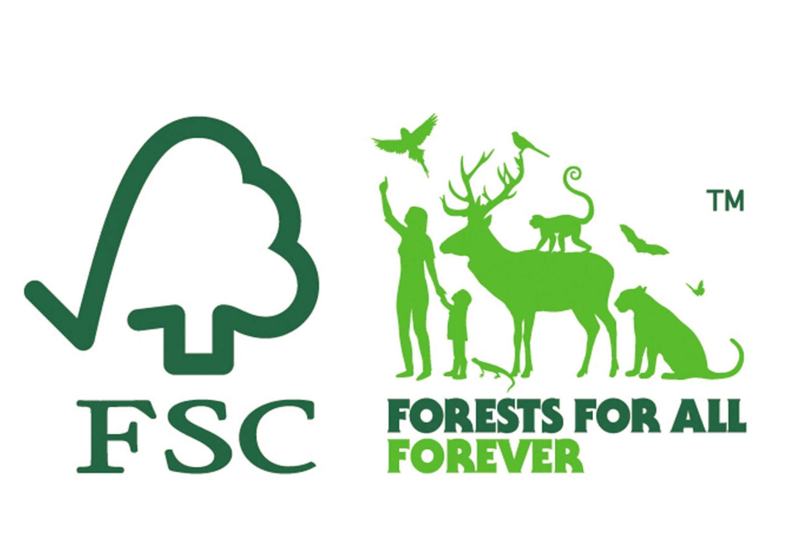 selo fsc e campanha floresta para todos